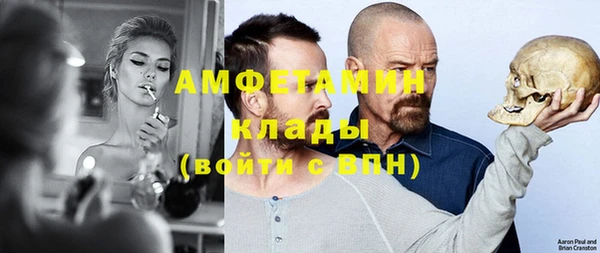 прущие грибы Алзамай