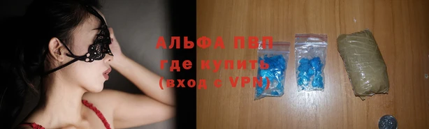 прущие грибы Алзамай