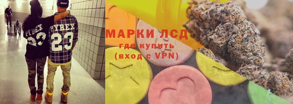 прущие грибы Алзамай