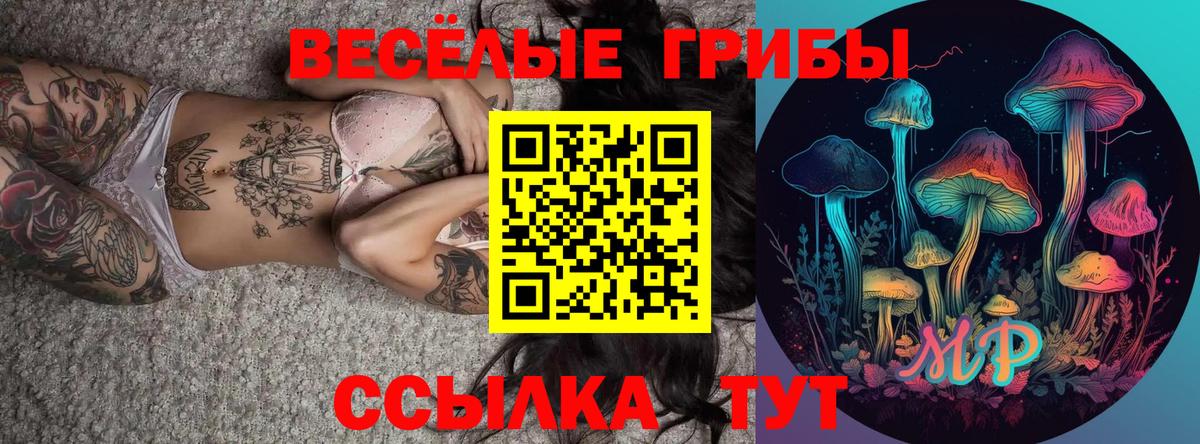 Набережные Челны  как найти   Вход с VPN  Псилоцибиновые грибы ЛСД 